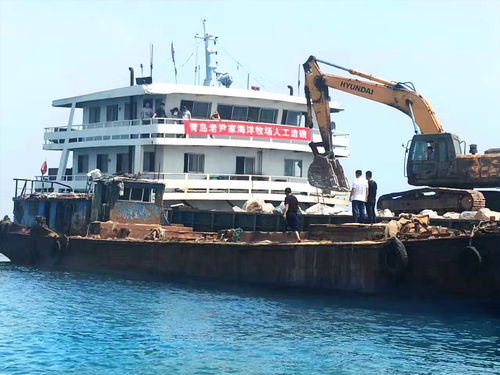 好海參好產(chǎn)地 青島老尹家海參國家級海洋牧場建設(shè)側(cè)記