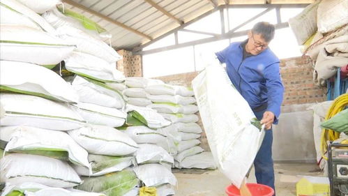 阿巴嘎旗洪格爾畜牧業(yè)合作社 多元化經(jīng)營助力現(xiàn)代畜牧業(yè)發(fā)展