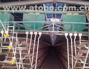 滎陽市高村大張強(qiáng)勝機(jī)器廠 畜牧養(yǎng)殖業(yè)設(shè)備熱賣促銷及供應(yīng)商解析