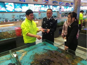 高明區(qū)農(nóng)林漁業(yè)局畜牧漁業(yè)飼料銷(xiāo)售工作滿(mǎn)意度調(diào)查報(bào)告